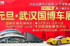 元旦买车 到武汉元旦国际汽车博览会准没错！