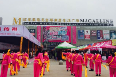 2017黄石春季汽车博览会以392台完美落幕！