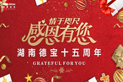情于咫尺 湖南德宝十五周年 感恩有您