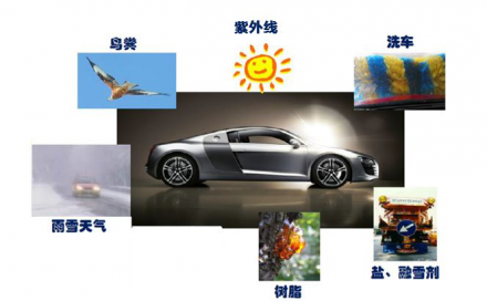 车漆学问大，解锁新技能
