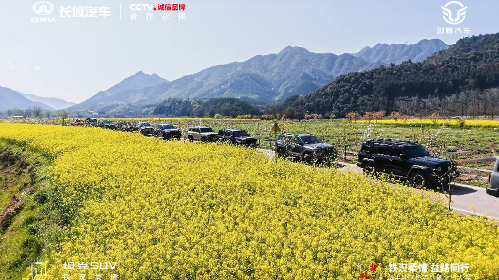 漫山遍野皆坦克，铁汉柔情赴春约